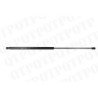 Gas Strut
