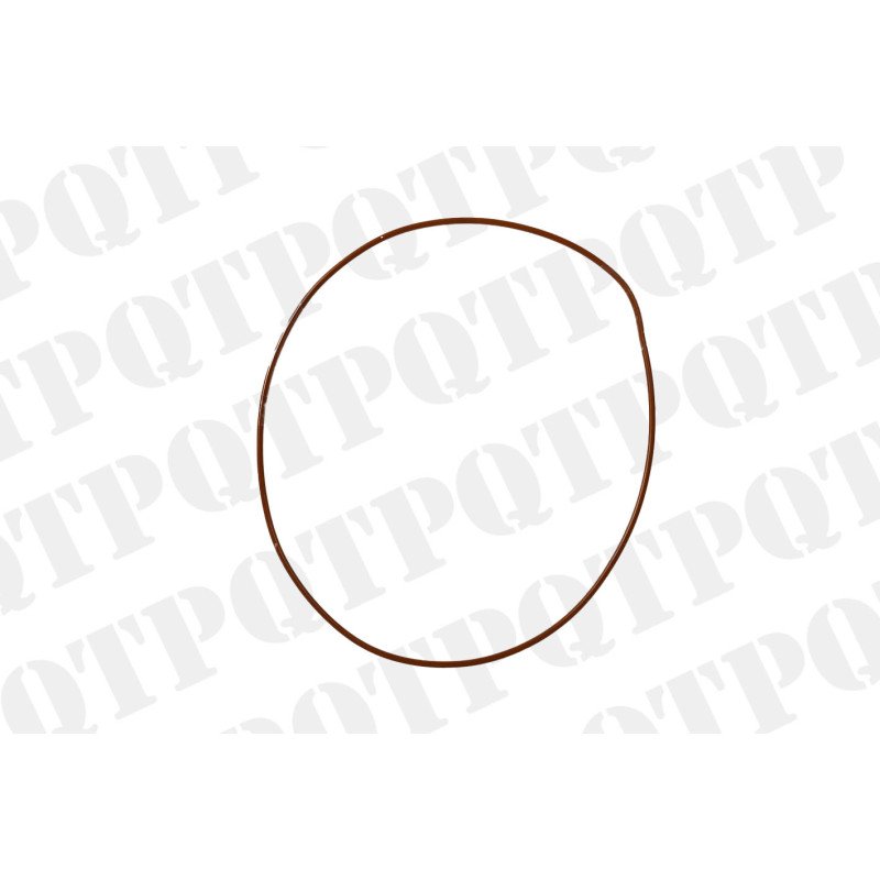 O-Ring (Pack de 5)
