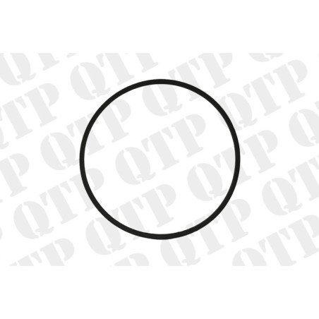 O-Ring Clutch Piston