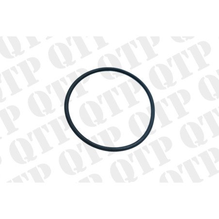 O-Ring (Pack de 2)